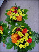 www.floristic.ru - .       - ?