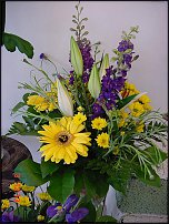 www.floristic.ru - .       - ?