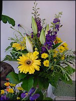 www.floristic.ru - .       - ?