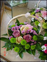 www.floristic.ru - .       - ?