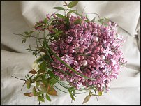 www.floristic.ru - .  