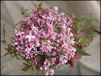 www.floristic.ru - .  