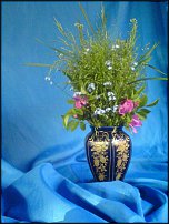 www.floristic.ru - .  