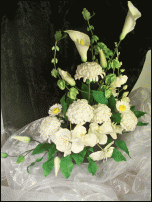 www.floristic.ru - .   