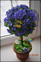 www.floristic.ru - .      .