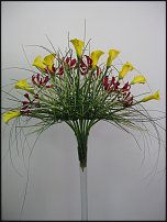 www.floristic.ru - . !!!!!