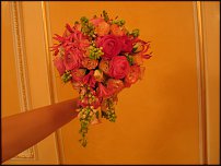 www.floristic.ru - .    