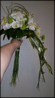 www.floristic.ru - .  