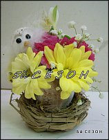 www.floristic.ru - .    !!!