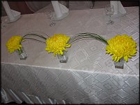 www.floristic.ru - .  .