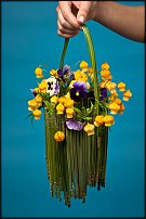 www.floristic.ru - .     ., .  .