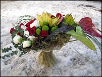 www.floristic.ru - .   