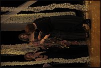 www.floristic.ru - .       , 