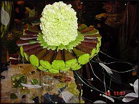 www.floristic.ru - .       , 