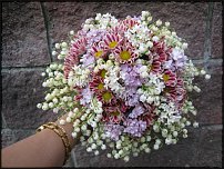 www.floristic.ru - .  .