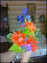 www.floristic.ru - .  