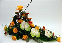 www.floristic.ru - .  