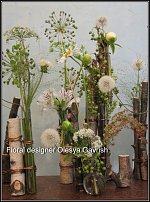 www.floristic.ru - .  