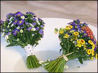 www.floristic.ru - .  