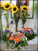 www.floristic.ru - .       - ?