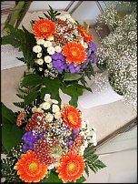 www.floristic.ru - .       - ?