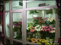 www.floristic.ru - .       - ?