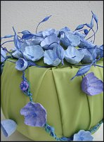 www.floristic.ru - .      .