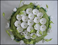 www.floristic.ru - .      .