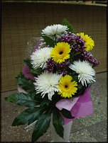 www.floristic.ru - .  