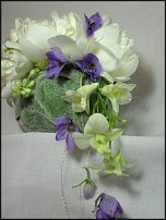 www.floristic.ru - .  