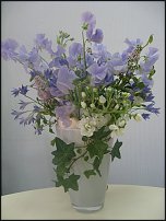 www.floristic.ru - .  