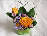 www.floristic.ru - .  .