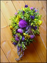 www.floristic.ru - Флористика. Полевые цветы