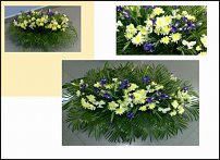 www.floristic.ru - . ,  .