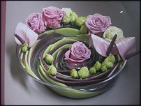 www.floristic.ru - .  .