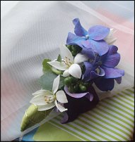 www.floristic.ru - .  .