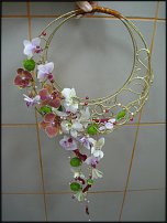 www.floristic.ru - .   