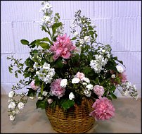 www.floristic.ru - . Ursula Wegener