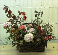 www.floristic.ru - . Ursula Wegener