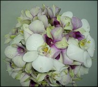 www.floristic.ru - .  .