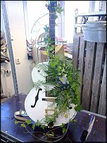 www.floristic.ru - .  