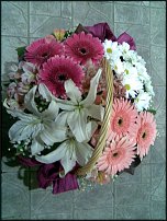 www.floristic.ru - . !!!!!