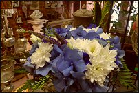 www.floristic.ru - .  .