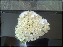 www.floristic.ru - .  