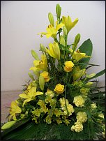 www.floristic.ru - .  