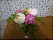 www.floristic.ru - .  