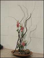 www.floristic.ru - . Ursula Wegener