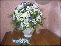 www.floristic.ru - .  