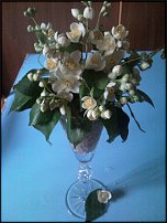 www.floristic.ru - .  