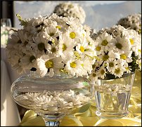 www.floristic.ru - .  .